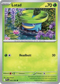 Lotad 005/094